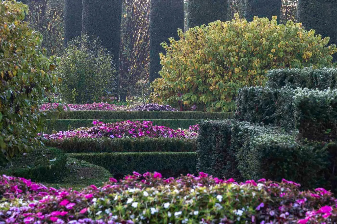 Il Potager Royal nei Giardini della Reggia di Venaria - Foto di Dario Fusaro