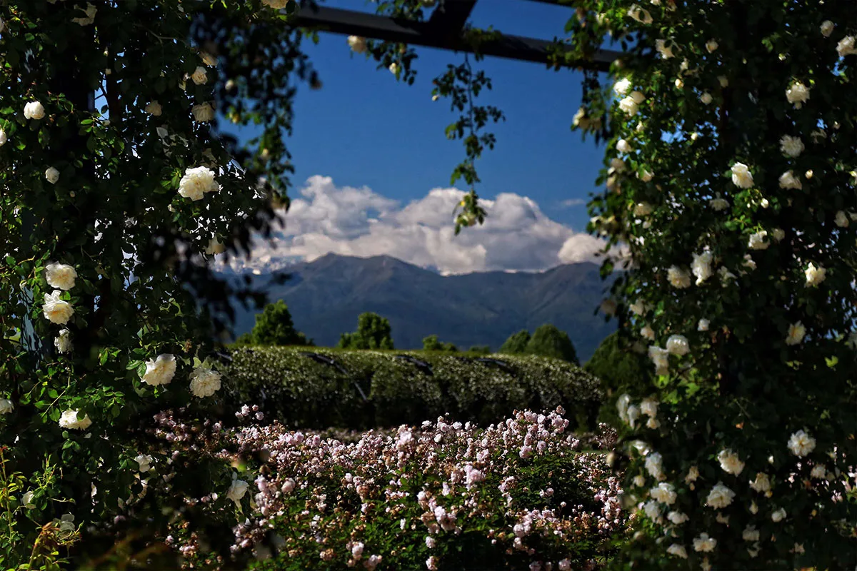 Giardino delle Rose - La Venaria Reale