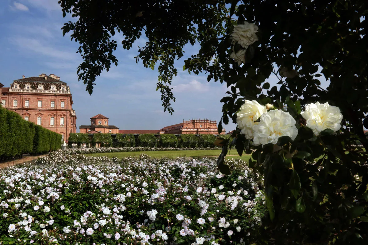 Giardino delle Rose - La Venaria Reale