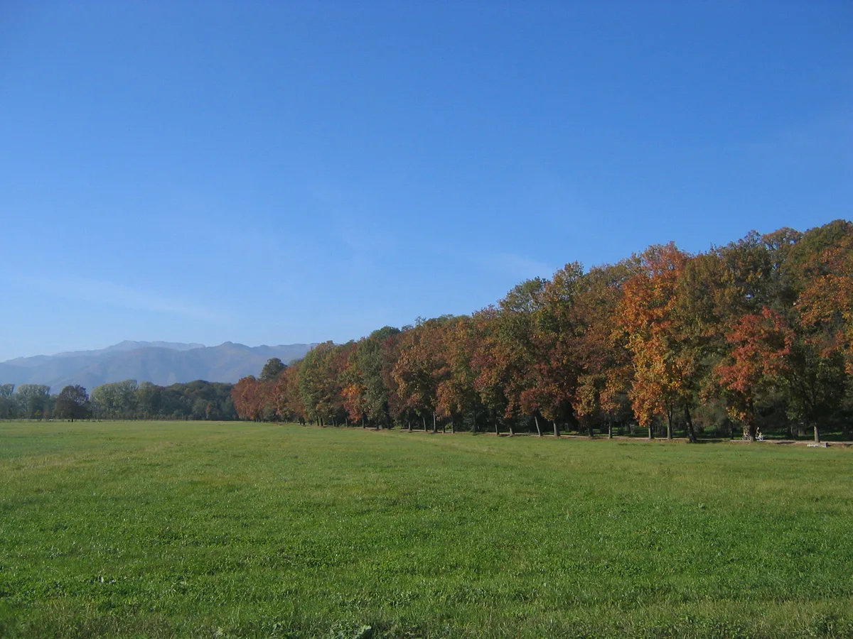 Parco della Mandria, Viale dei Roveri
