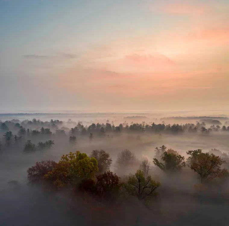 Boschi del Parco della Mandria immersi nella nebbia