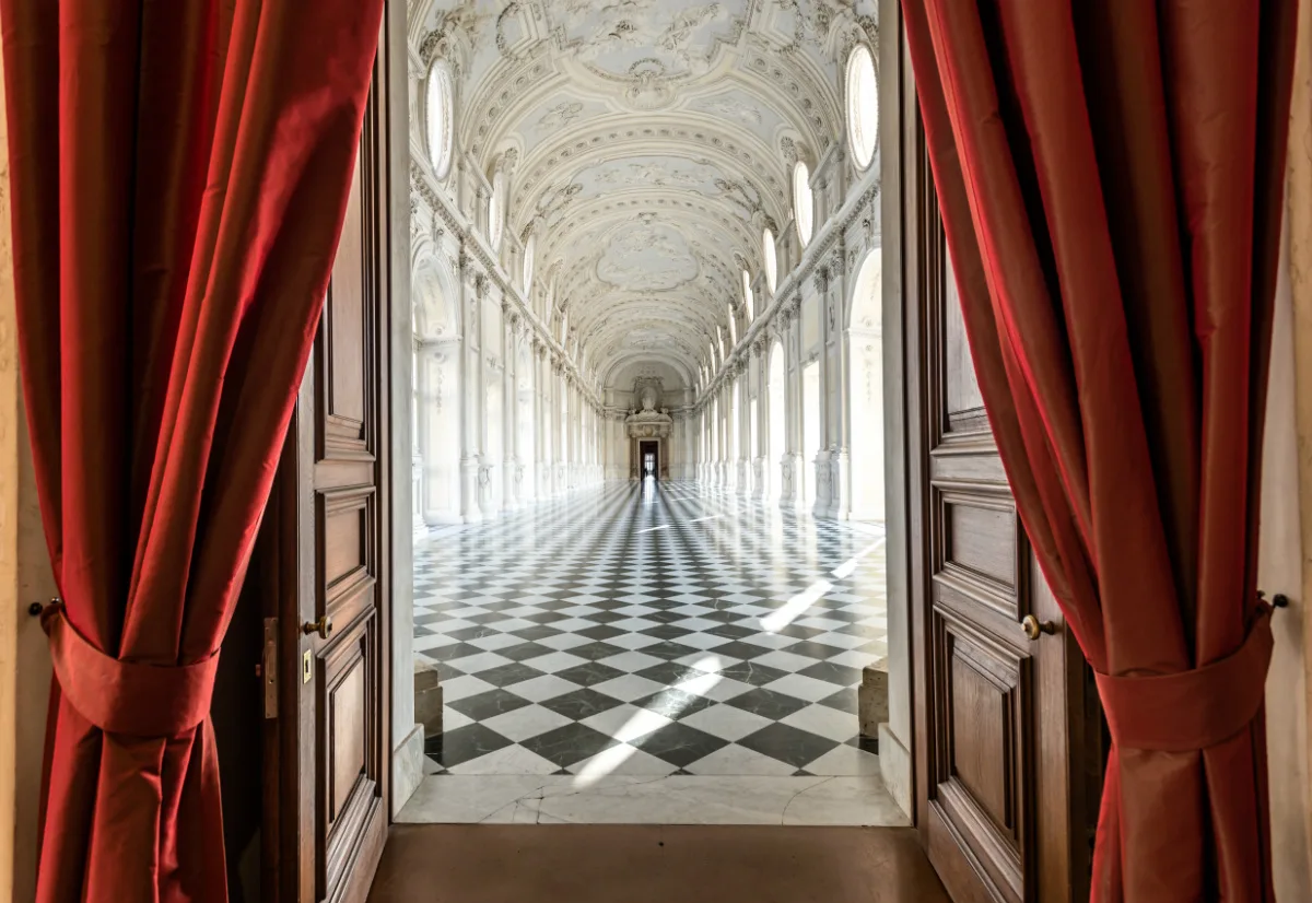 Domenico Ianaro, menzione Premio La Venaria Reale - Colors