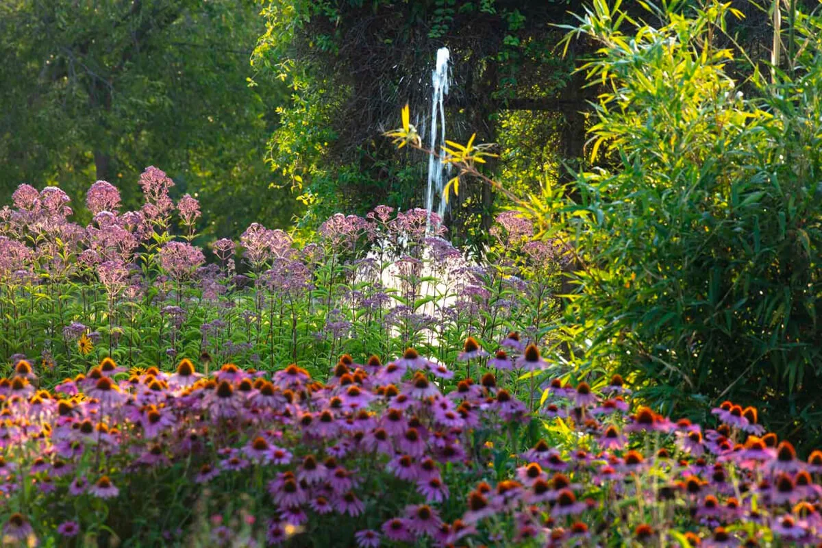 Il Potager Royal nei Giardini della Reggia di Venaria - Foto di Dario Fusaro