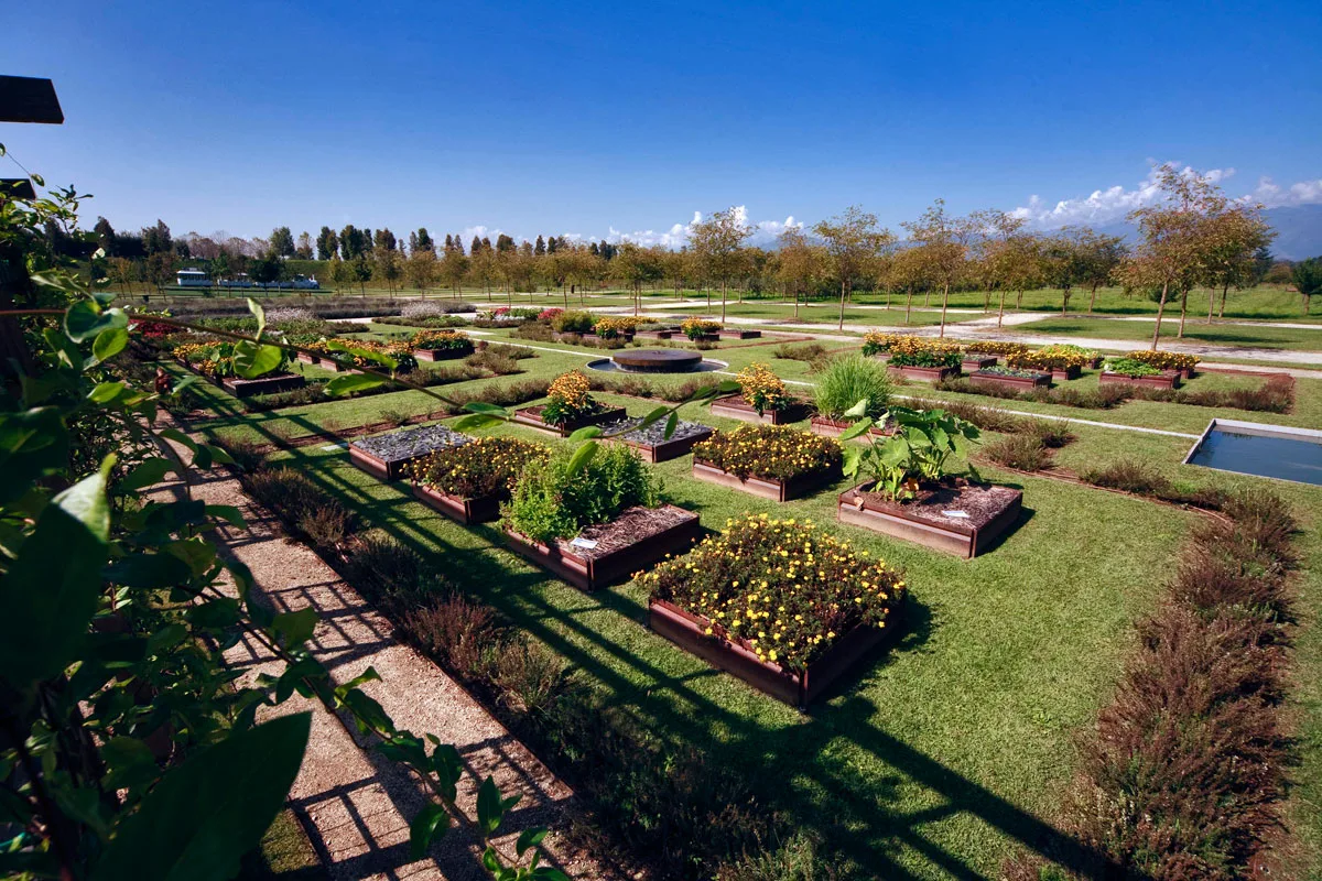 Potager Royal nei Giardini della Reggia di Venaria