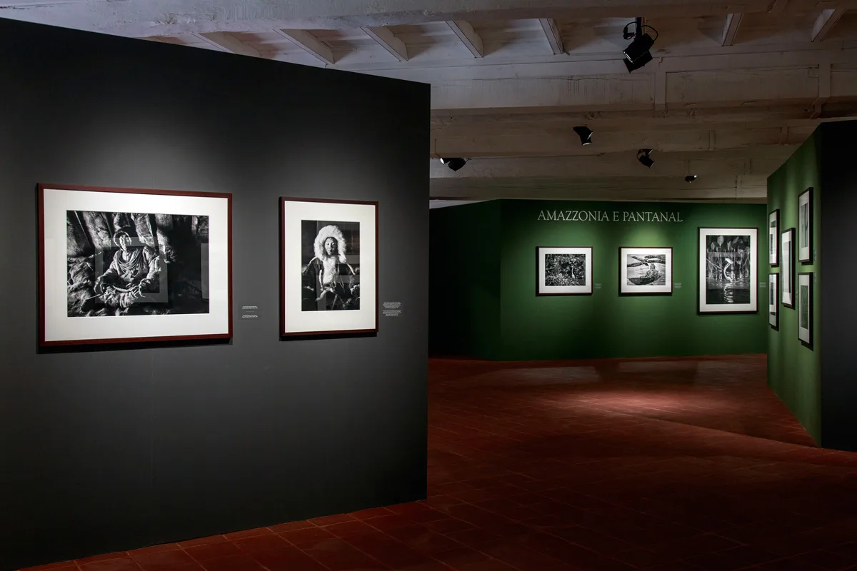 La mostra "Sebastião Salgado. Genesi" alla Reggia di Venaria