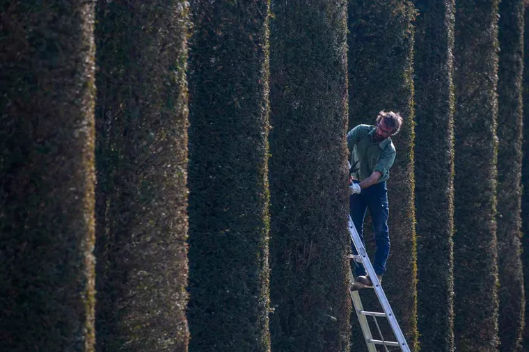 Primavera nei Giardini della Reggia di Venaria - Foto di Dario Fusaro 17