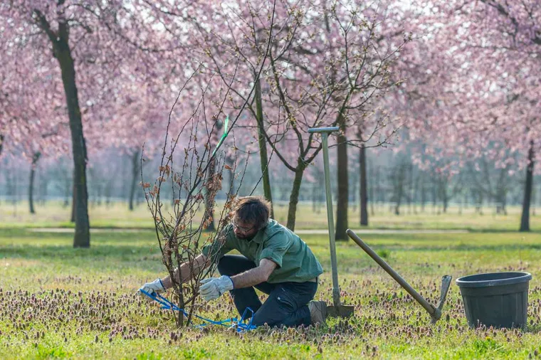 Primavera nei Giardini della Reggia di Venaria - Foto di Dario Fusaro 23