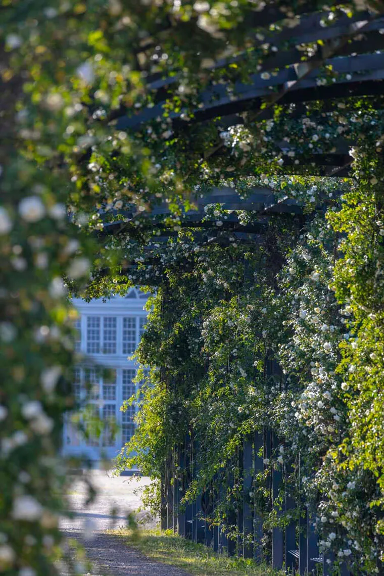 Primavera nei Giardini della Reggia di Venaria - Foto di Dario Fusaro 24