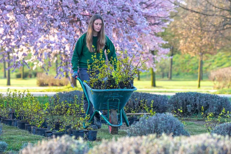 Primavera nei Giardini della Reggia di Venaria - Foto di Dario Fusaro 26