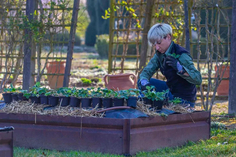 Primavera nei Giardini della Reggia di Venaria - Foto di Dario Fusaro 29