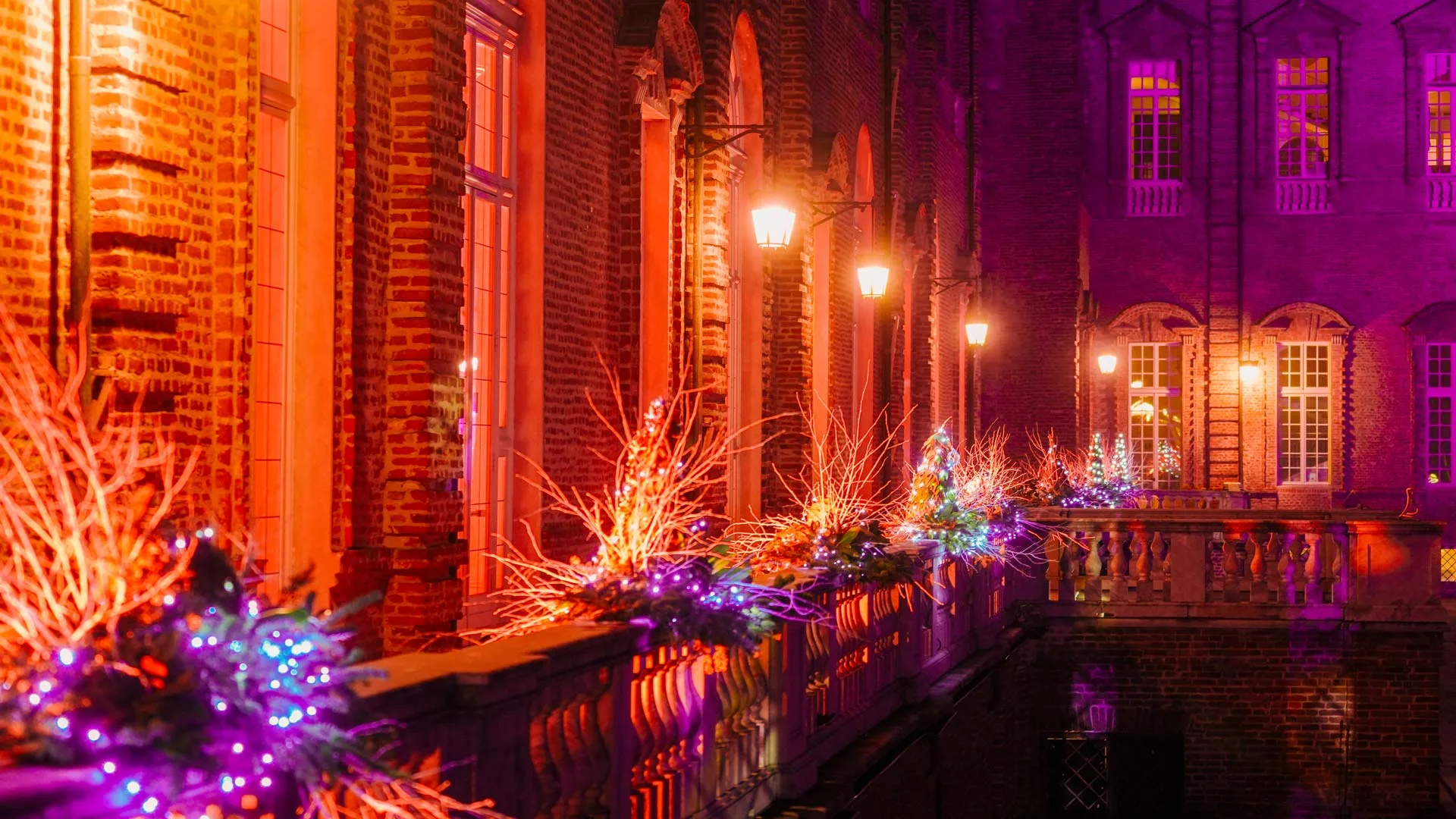 Decorazioni natalizie illuminate all'esterno della Reggiaa